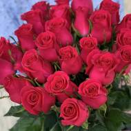 Роза чайно-гибридная Готча в контейнере